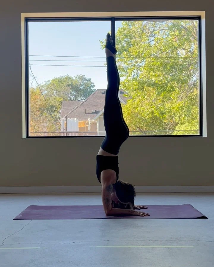 same same but different 💫 

September 2024 
we got the &ldquo;keys&rdquo; to Rogue Vinyasa 
an empty concrete square and a dream 💭 

May 2025
our first month of Rogue yoga together 
a major renovation and few plants later 🌱 

so much has changed ?