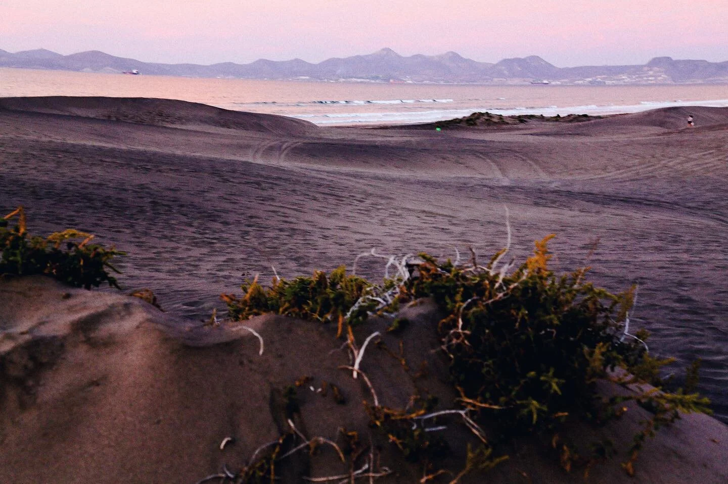 Baja California, March 2023