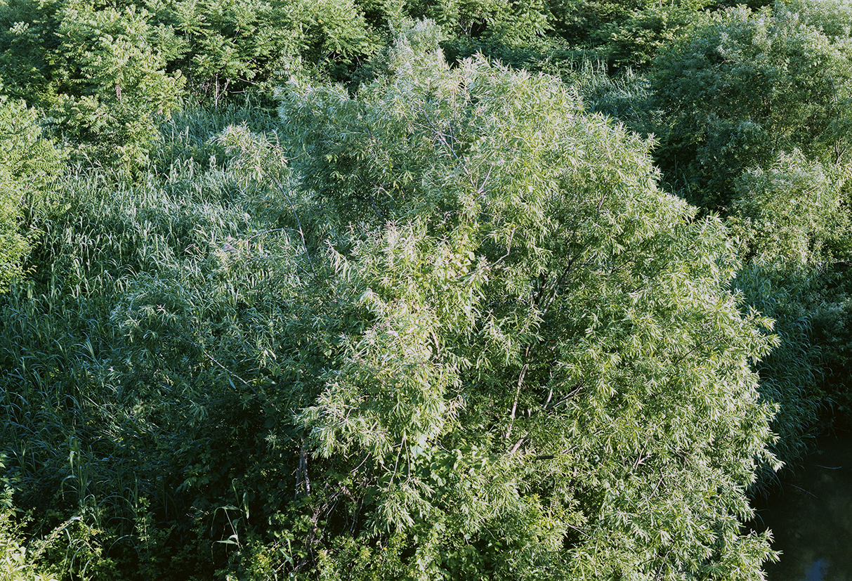 003.jpg
