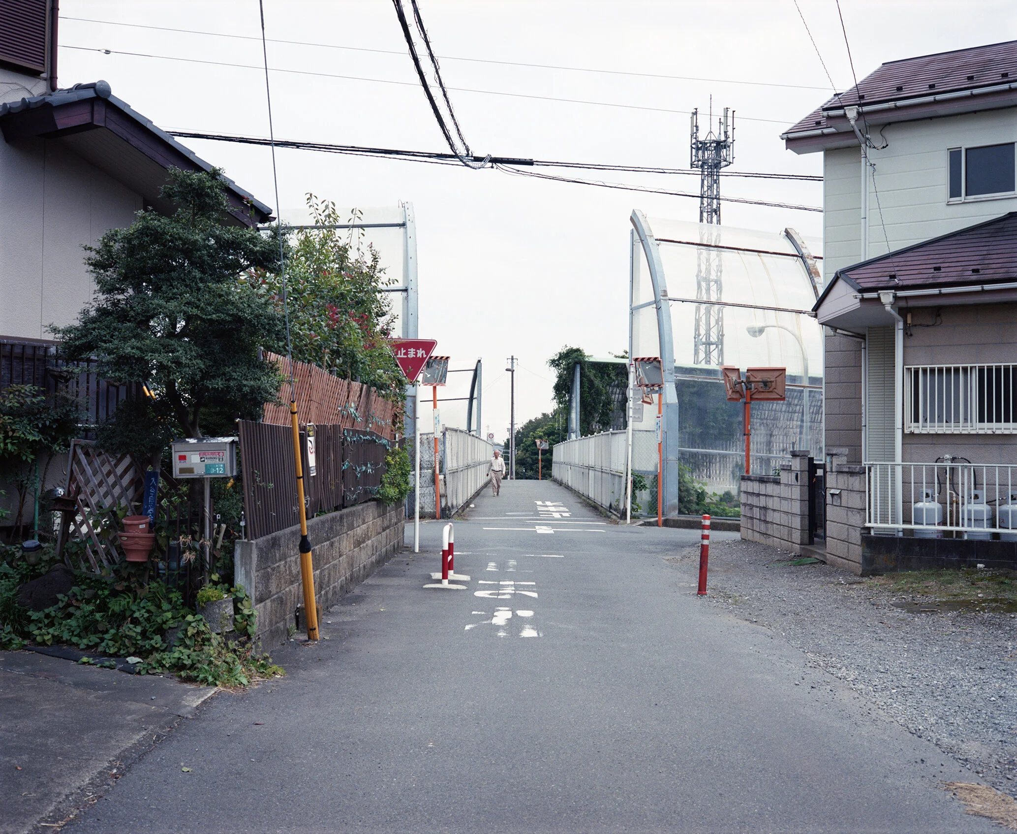 EBINA13_1.jpg