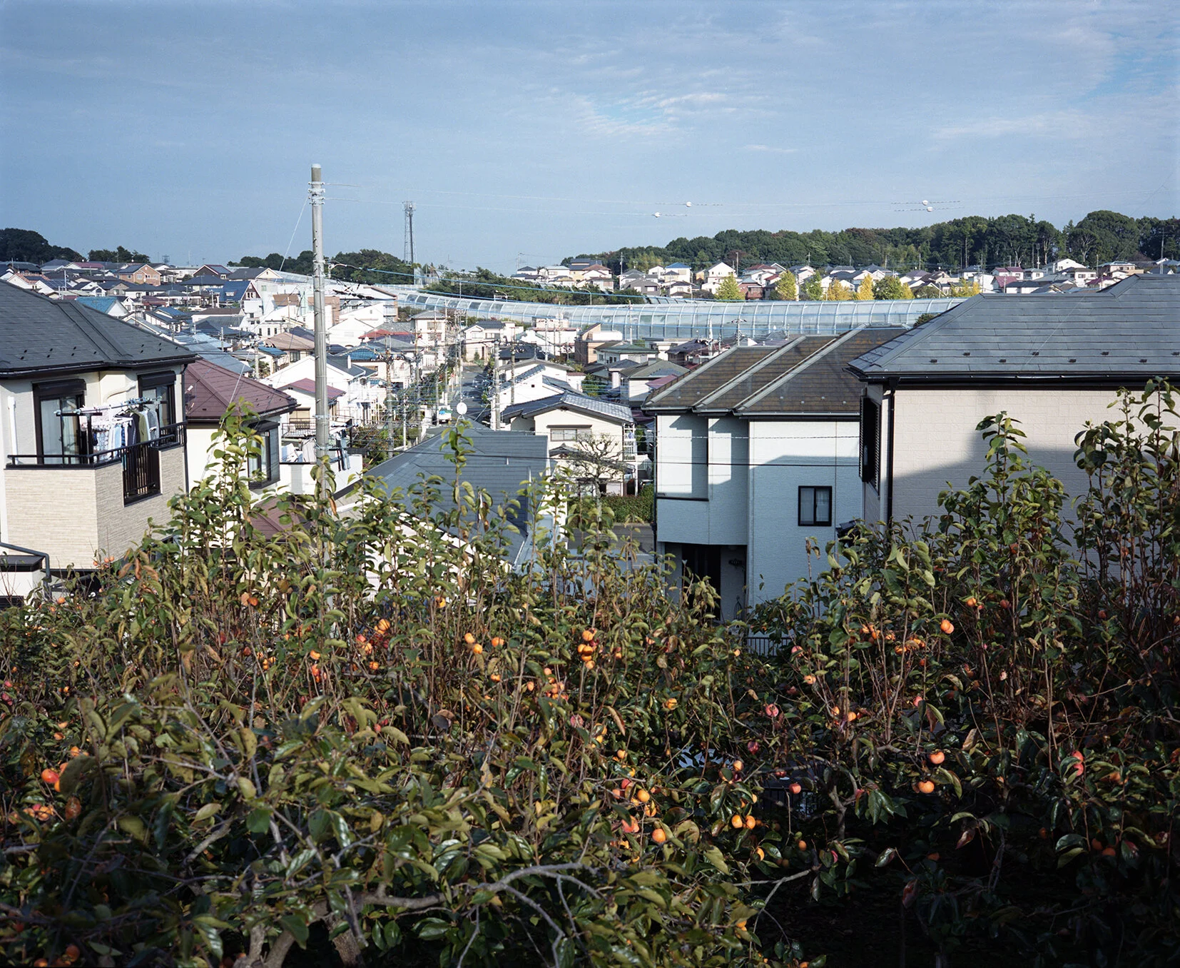 EBINA19_4.jpg