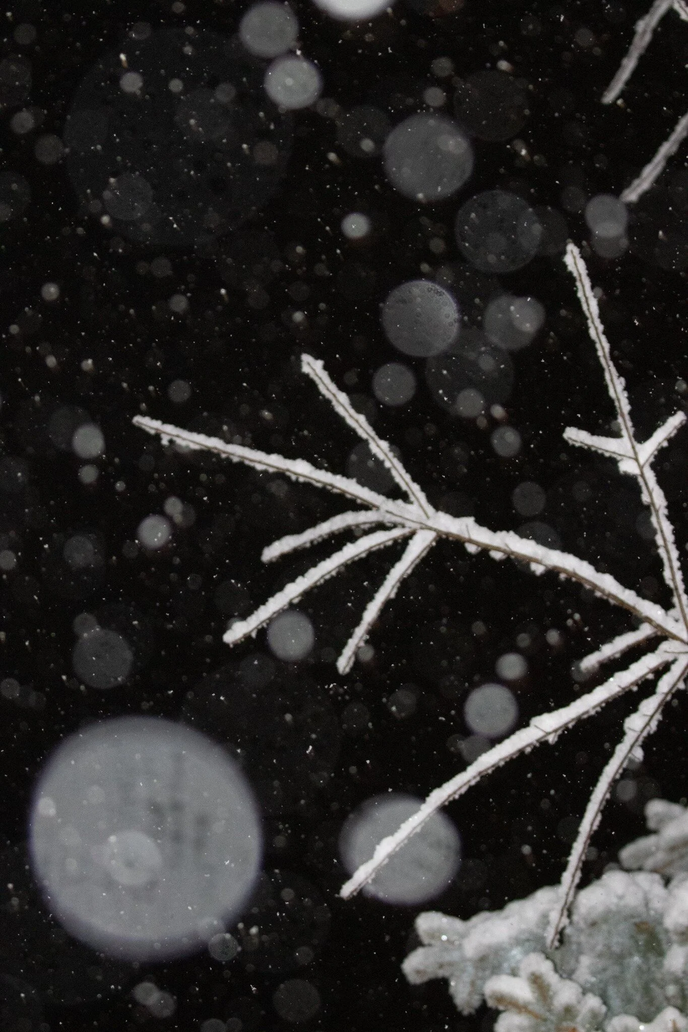 snowy night.jpg
