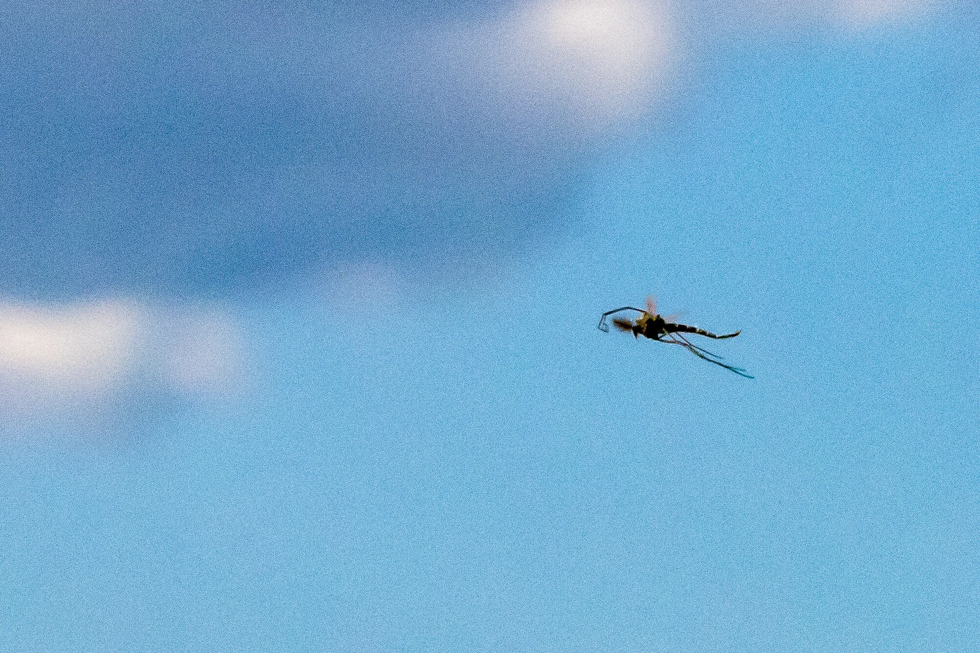 IMG_5807.jpg