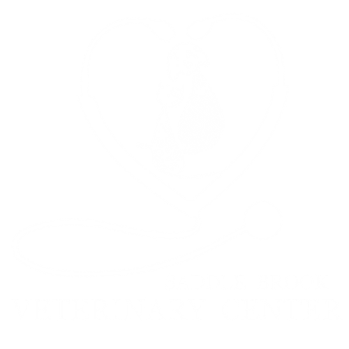 Saddle Brook Veterinary Center