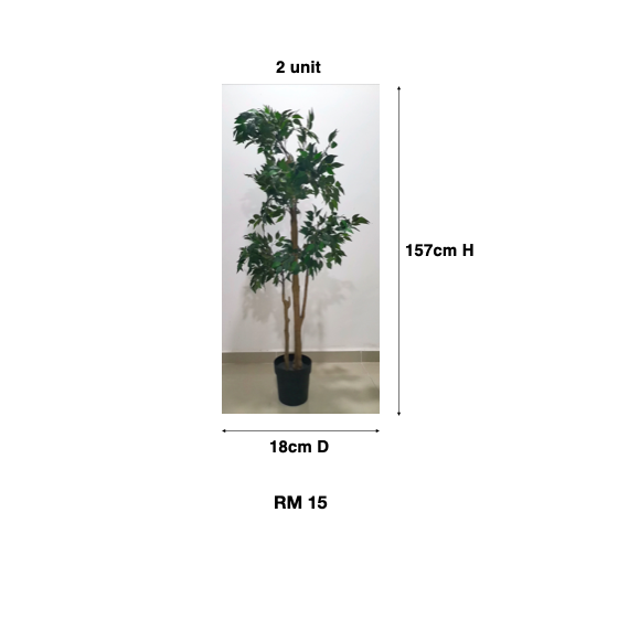 Tree 1.png