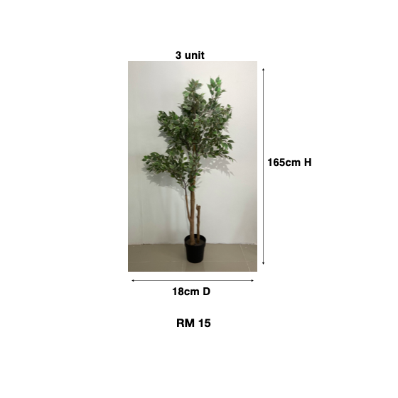 Tree 2.png