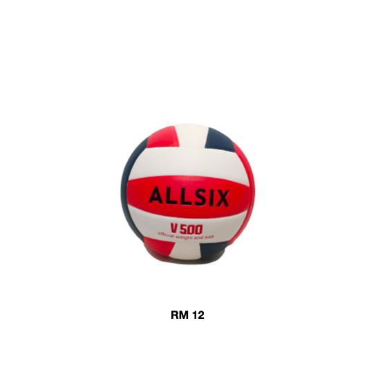 V500 Volleyball.png