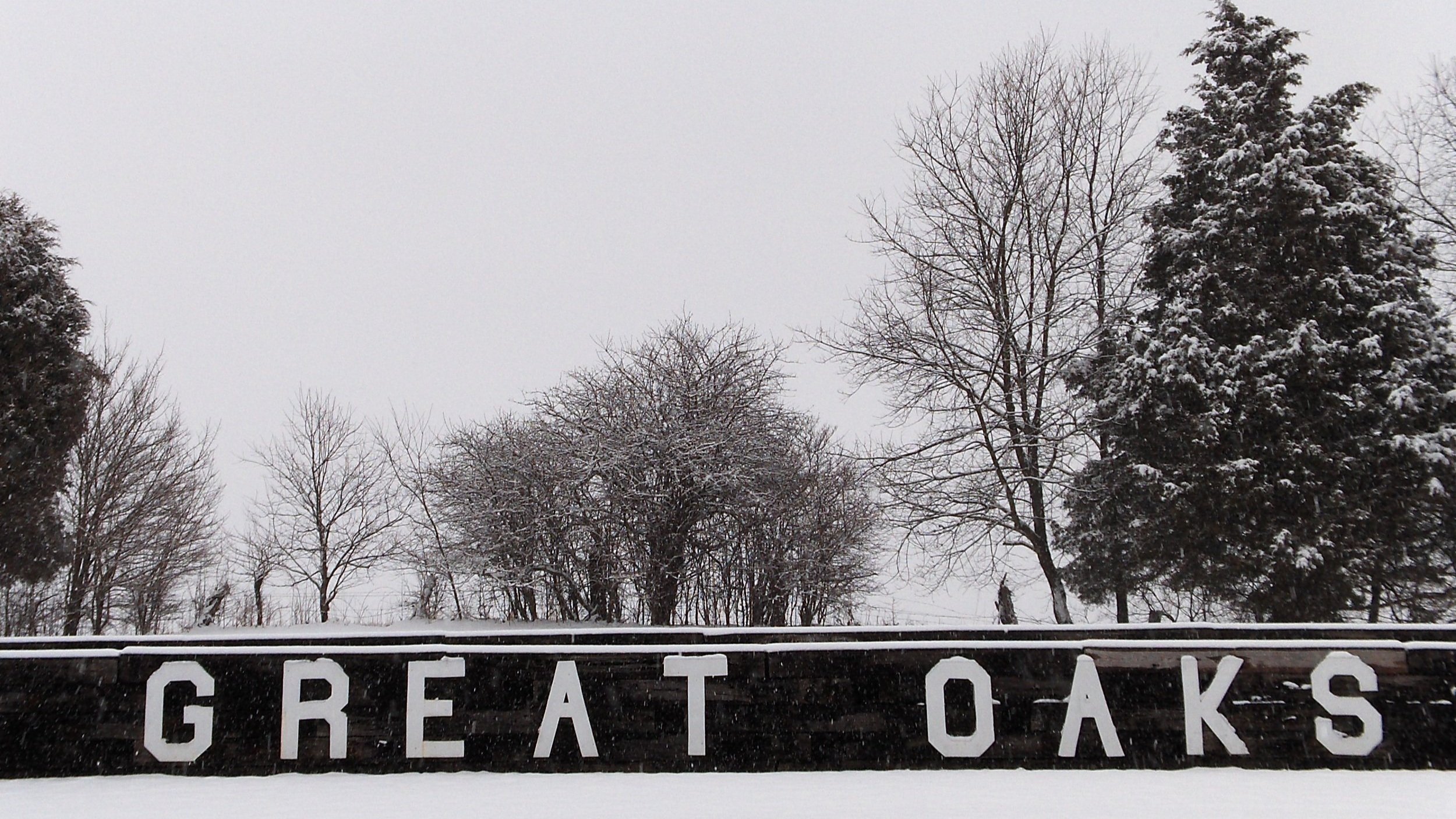 Great+Oaks+%2706+%2824%29.jpg