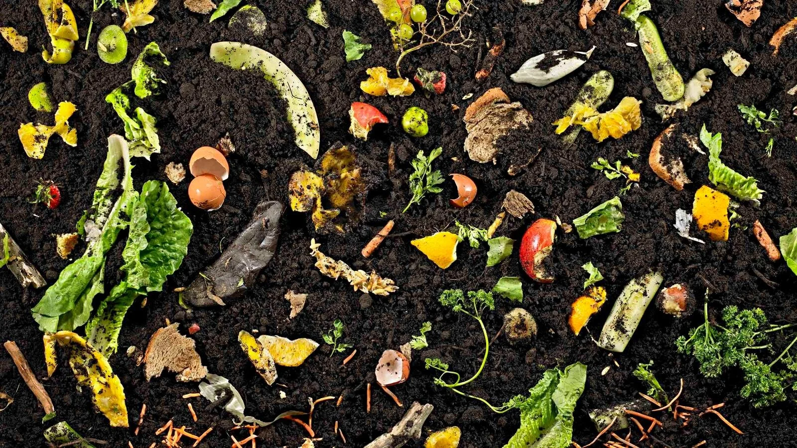 Composting - Gold for your Garden