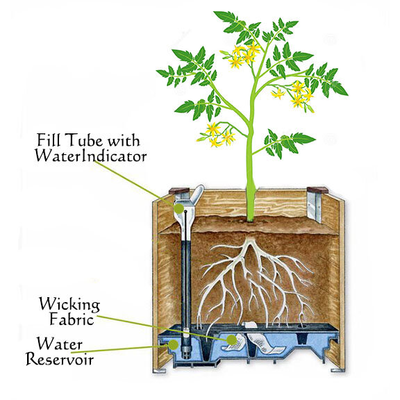 Self-Watering Planter Boxes — EcodesignSD