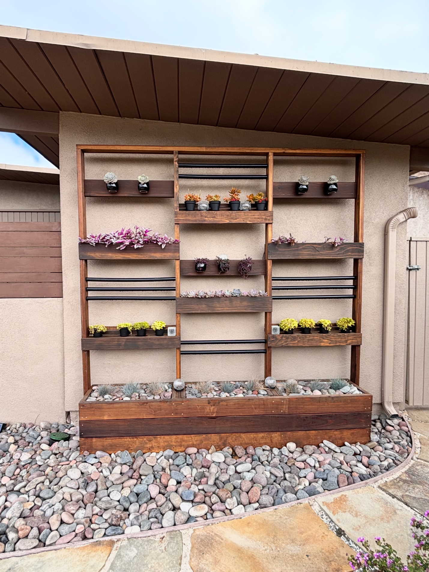 DIY Green Walls: How to Build a Beautiful Vertical Garden That Lasts in Southern California