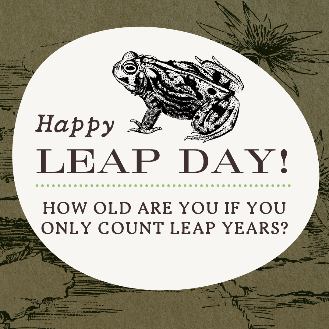 Leap Day.png
