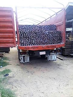 wood.png