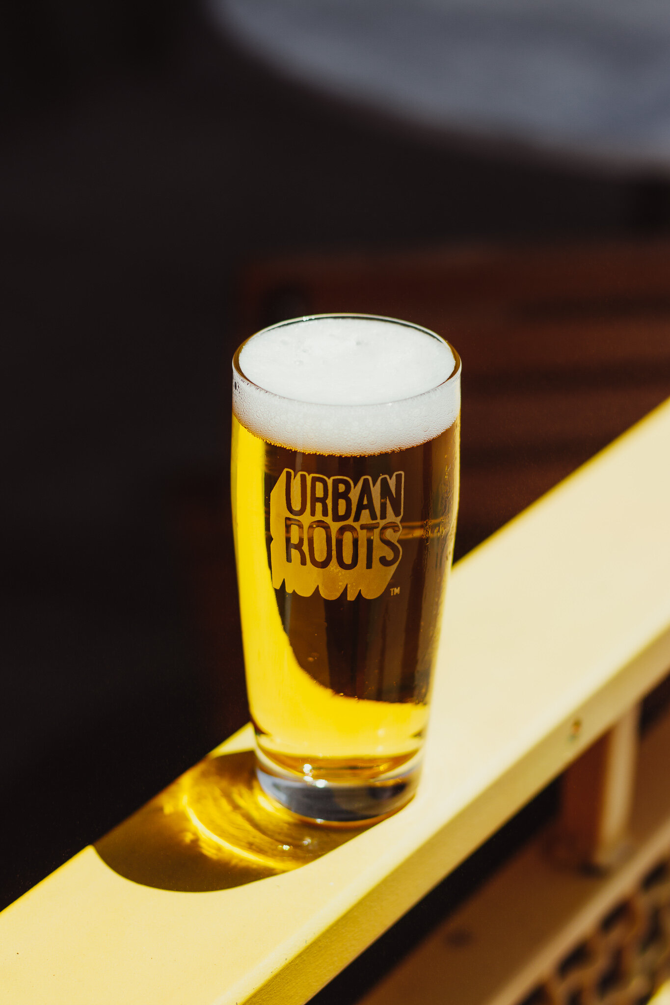 BAWK! by Urban Roots