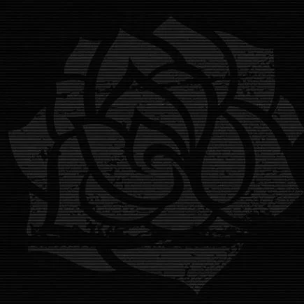 Rose2.jpg