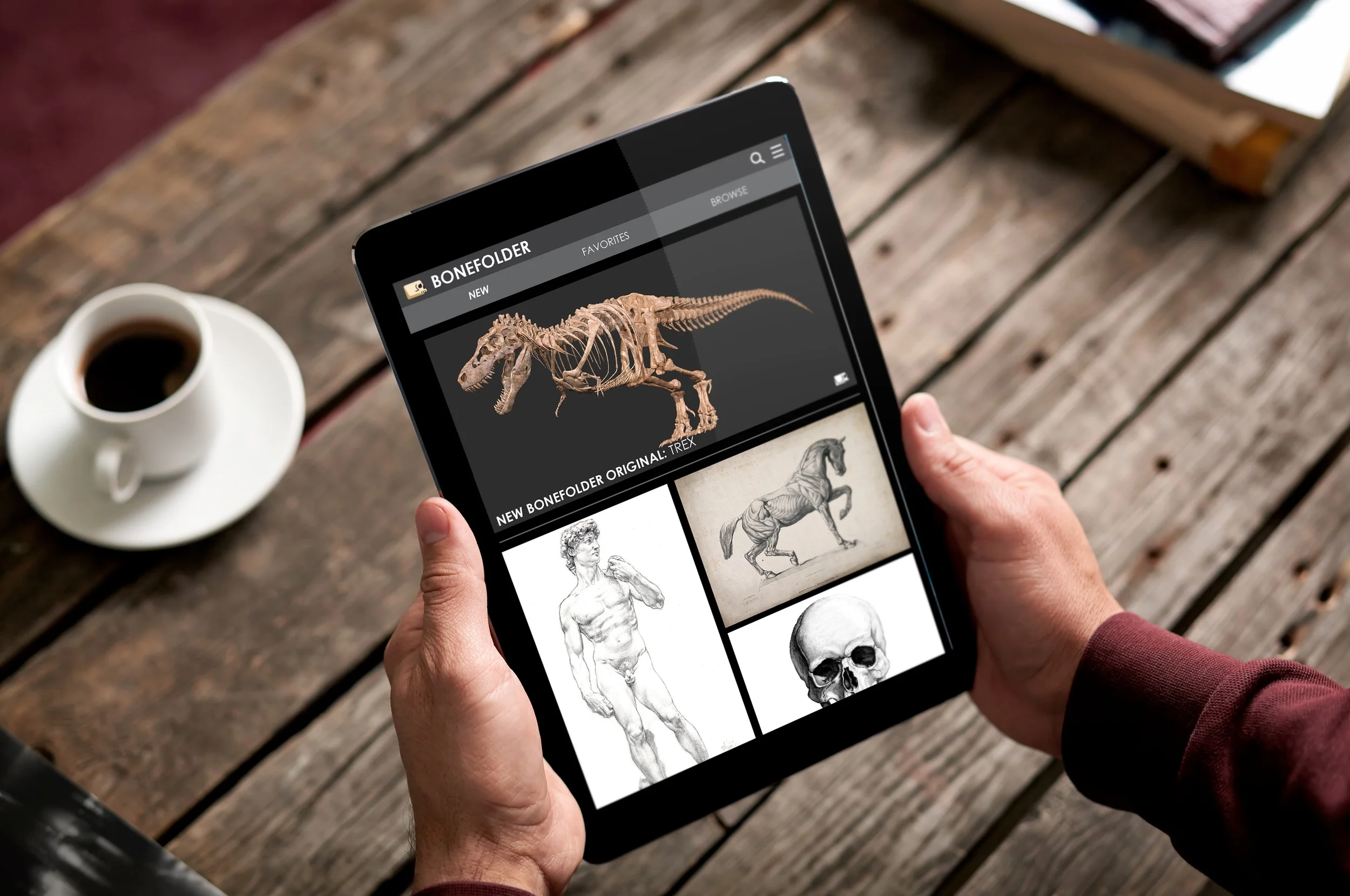 iPad-in-Hand-Mockup-Home.jpg