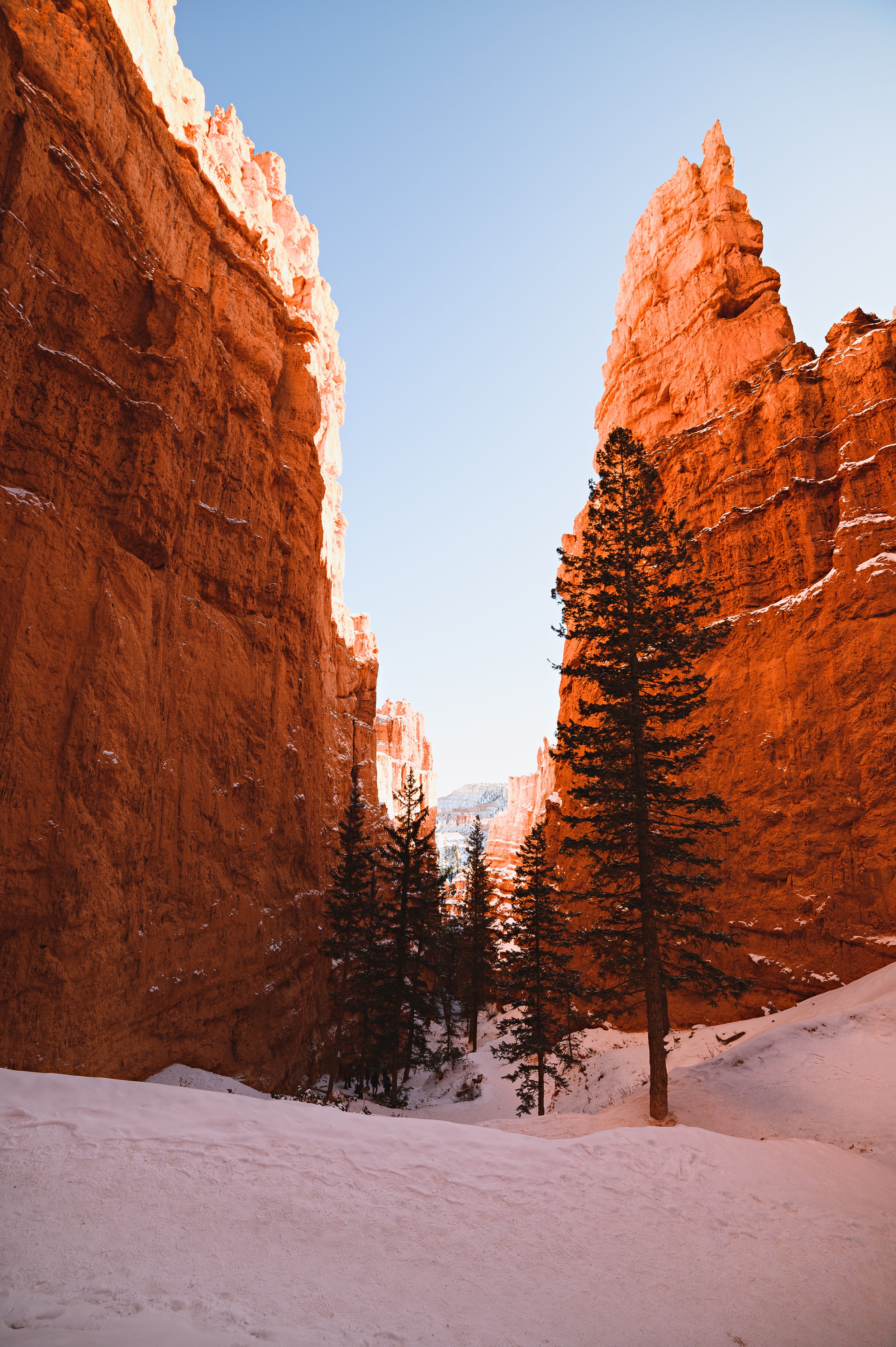 Snow Covered Hoodoos