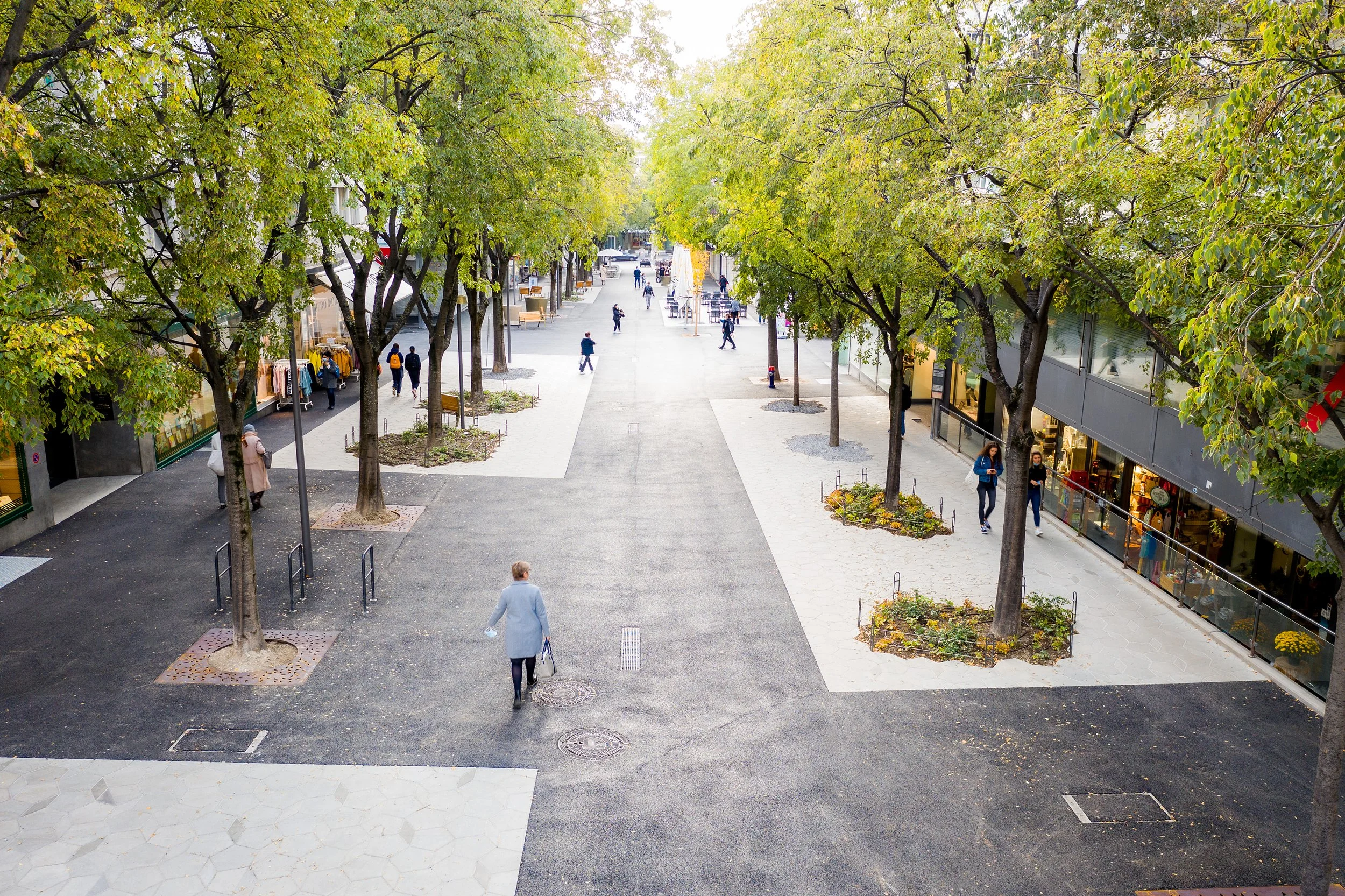 avenue du midi  -  sion 2020