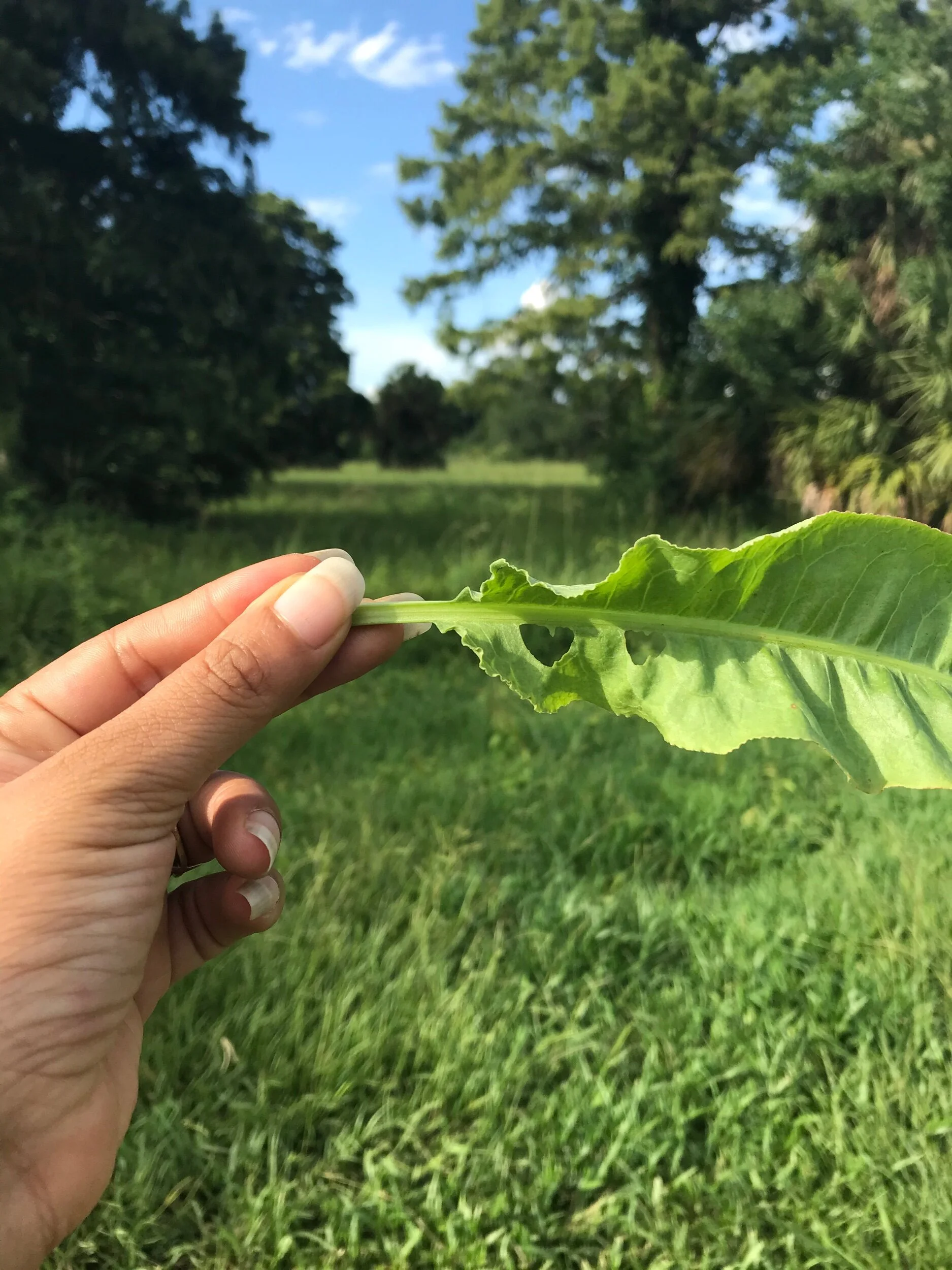 12FDD9AA-4418-4ED6-B94F-C80EB06DEB7B