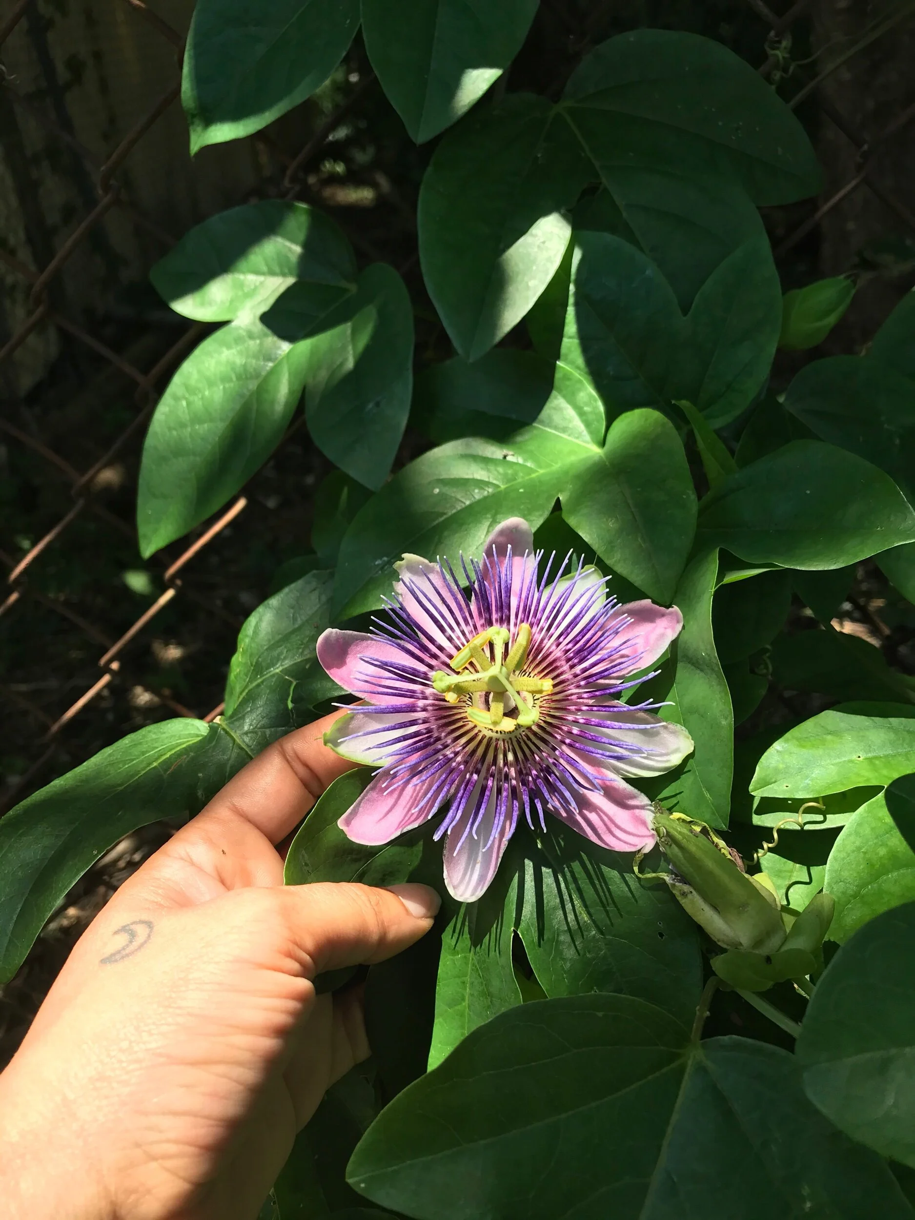 3E7393AA-44B3-46D0-BB35-607B42EFDE43