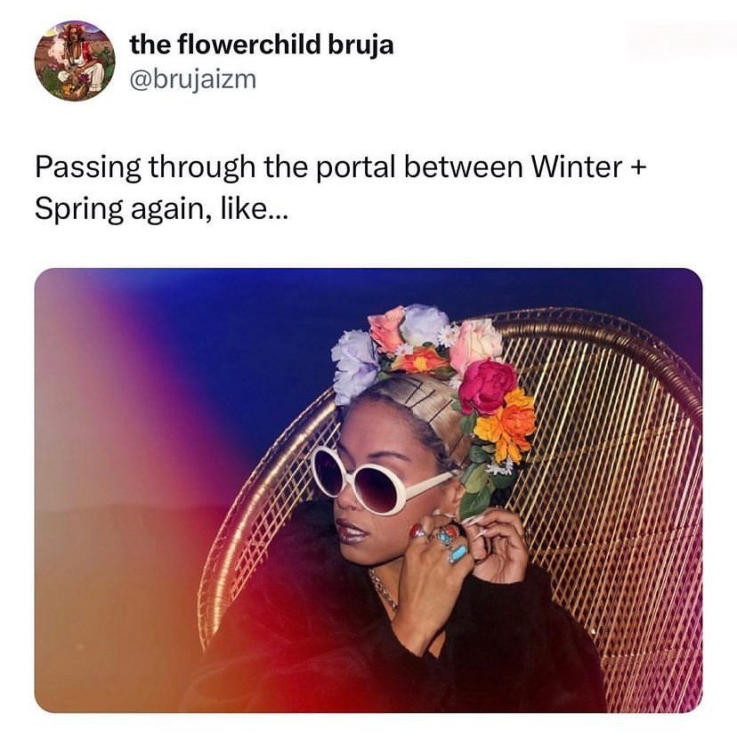 hi! hey! hello! 🫣

I know I don&rsquo;t post on this page much butttt I&rsquo;m excited about this Sunday&rsquo;s Spring Plant Circle 🤭. join me and these other brilliant folks for a day of plant related skill shares and exchanges. 
(swipe for deta
