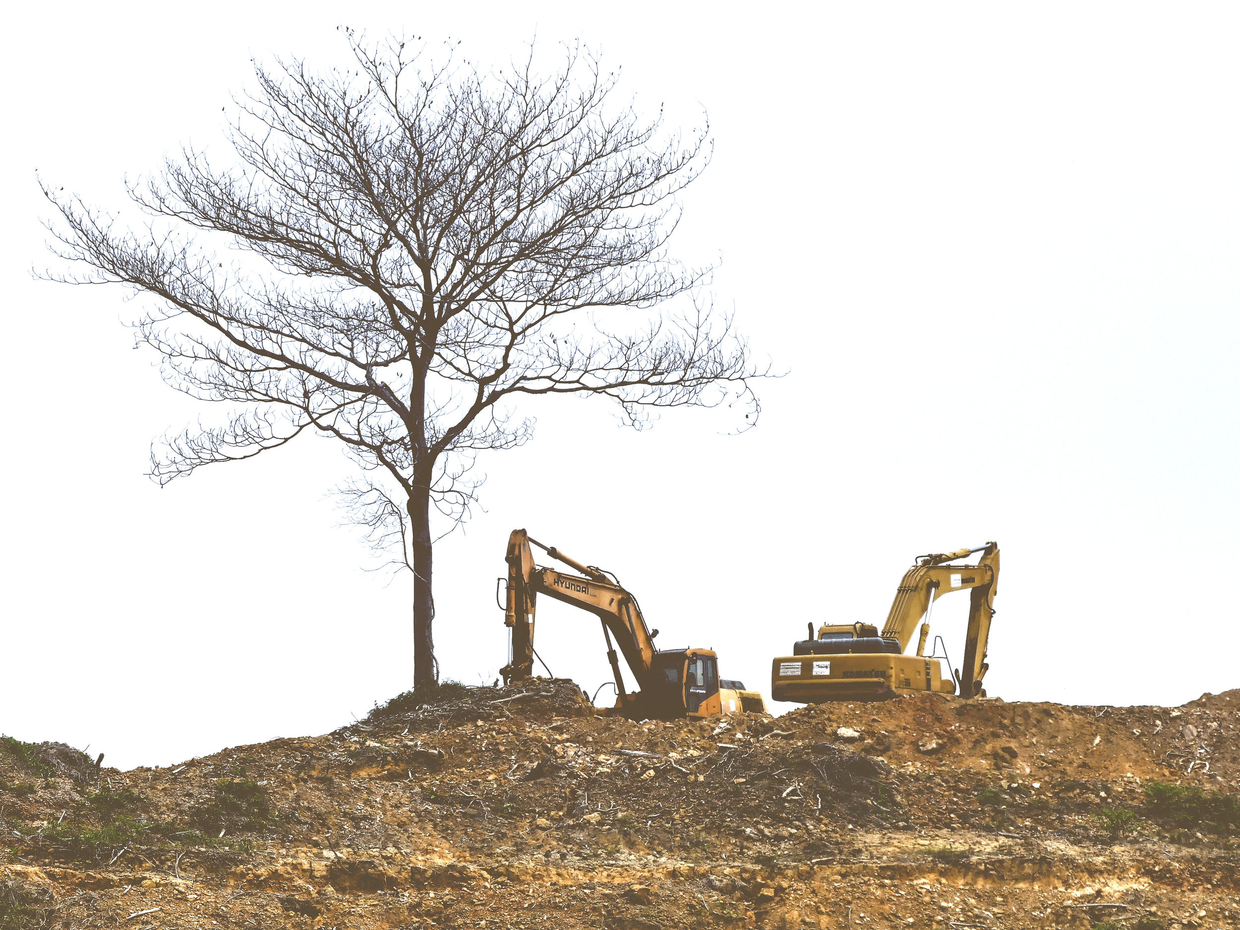 yourSCAPE Excavation Digger Services Landscaping Professional Experienced Reliable Brisbane CBD Developments