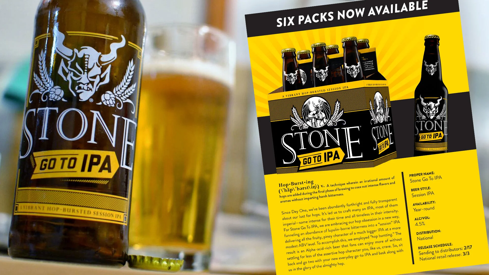 STONE SAISON IDENTITY SYSTEM