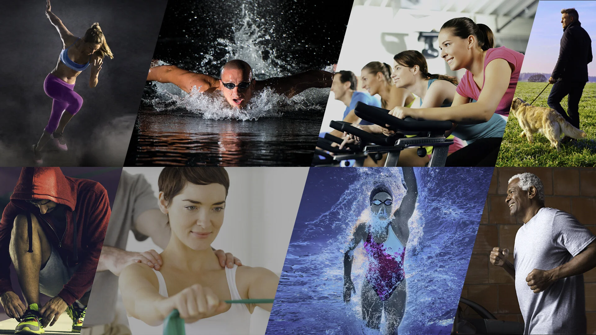 ALL ASH BRANDS_no logo_Diagonal.jpg