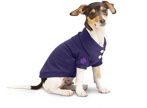 frisco-summer-apparel-products copy.png