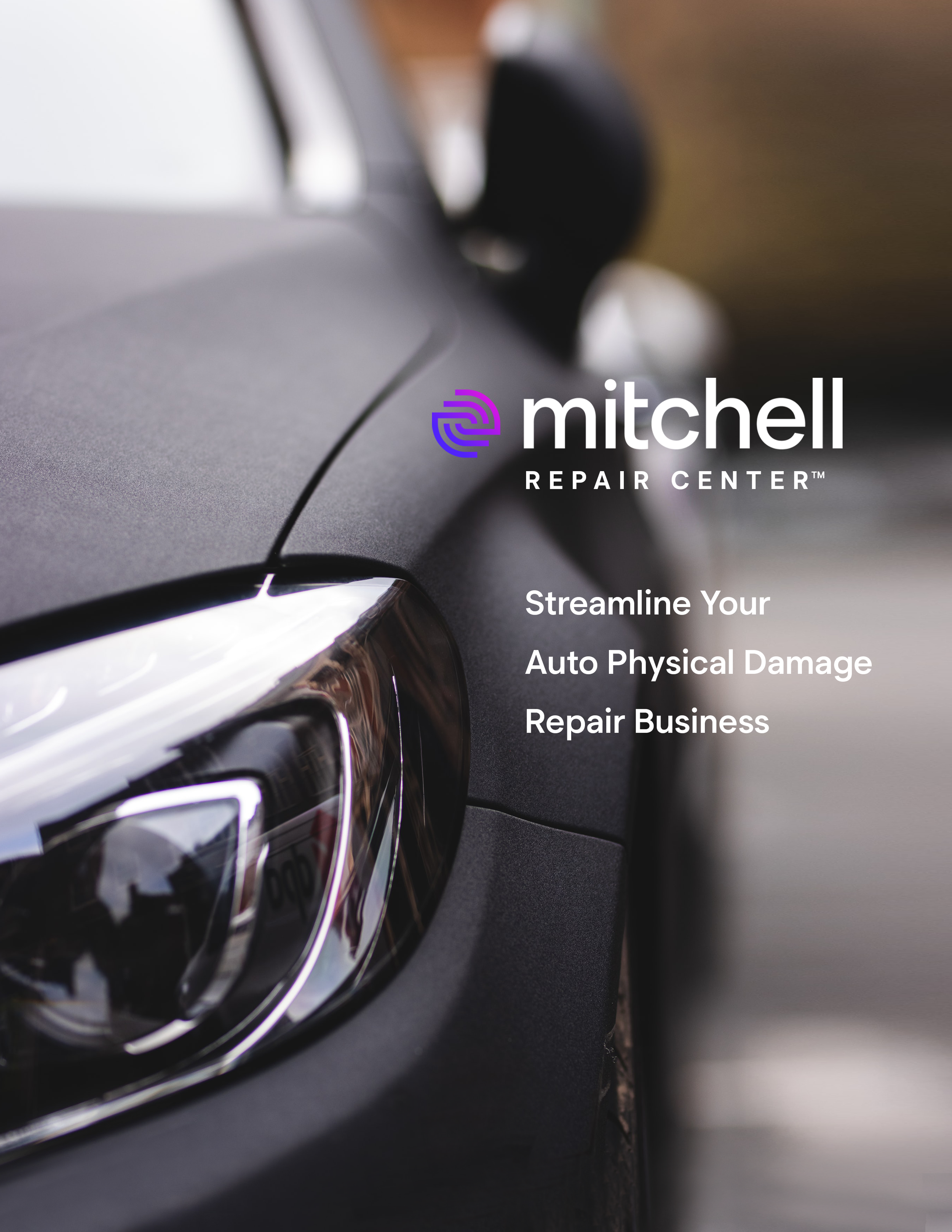 Mitchell_Flier_APDordan-brierley-eXgM5cIYNW0-unsplash copy.png