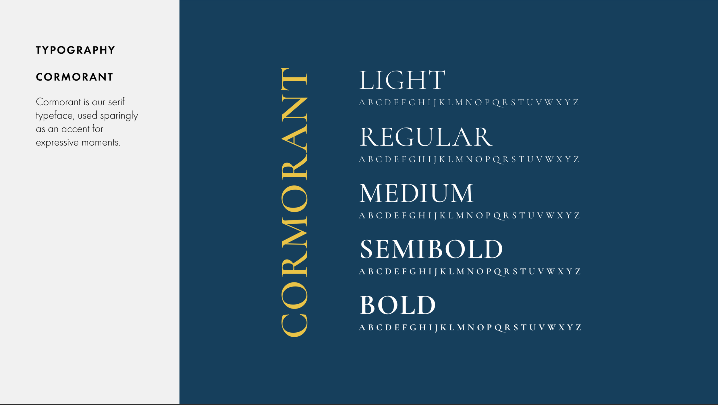 Screen Shot 2026-03-02 at 4.42.55 PM.png