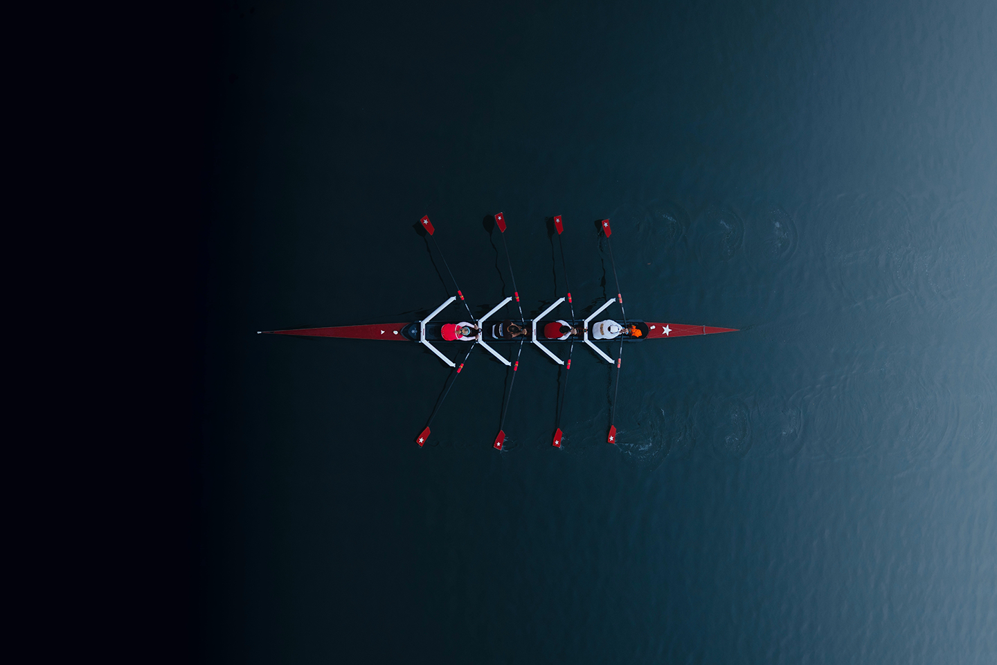 parsa-mahmoud copy.png