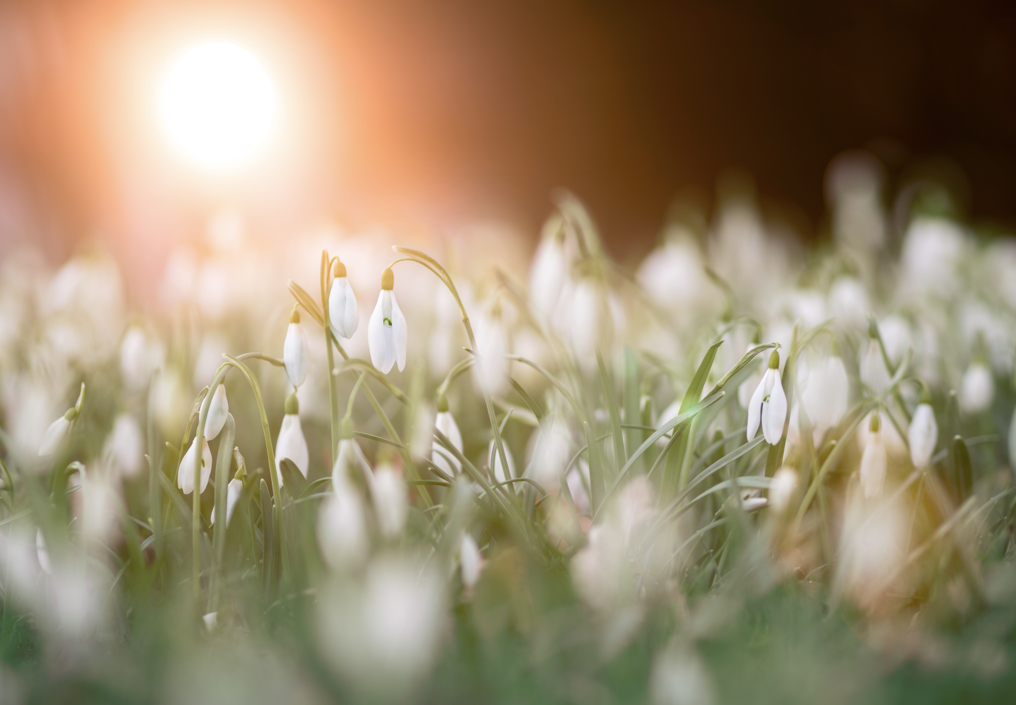 Skærmbillede 2019-04-16 kl. 09.14.13.png
