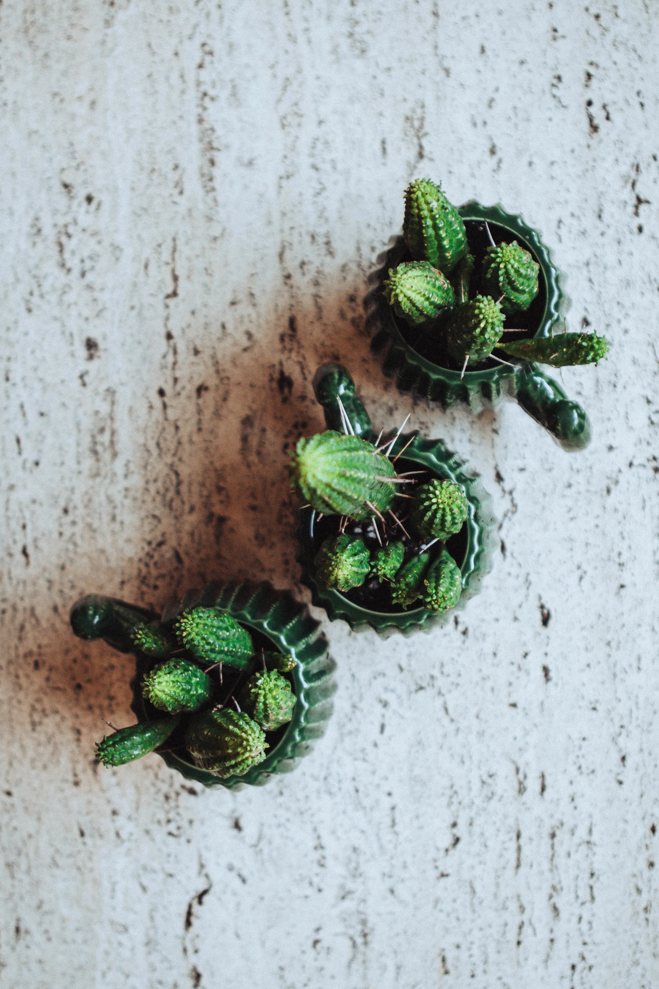(This post contains affiliate links)