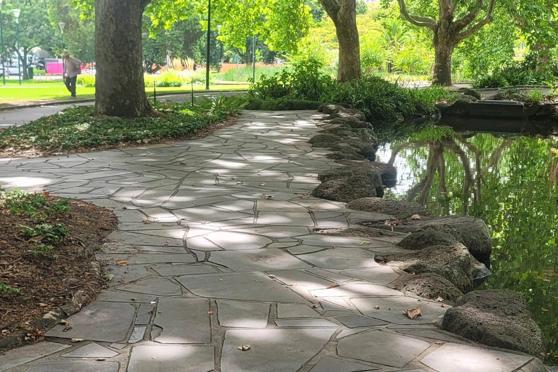 'A stone pathway through trees — a metaphor for the opportunities already around you'