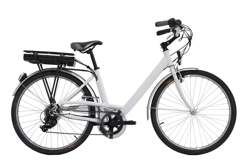 Italwin — ELEXTRYX | Electric Transport Distributor