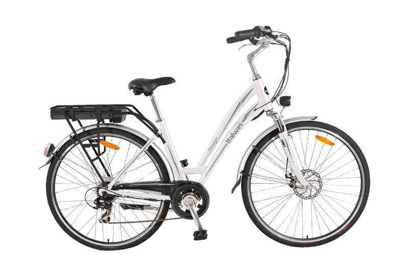 Italwin — ELEXTRYX | Electric Transport Distributor