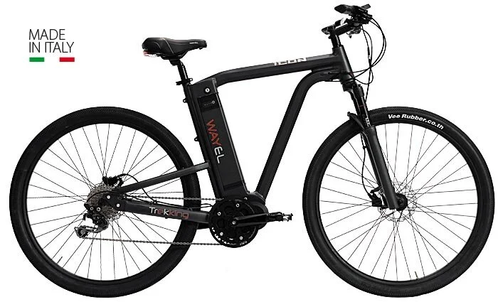 Wayel — ELEXTRYX | Electric Transport Distributor