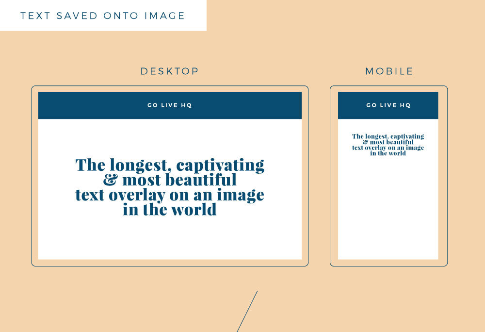 image-asset (17).jpeg