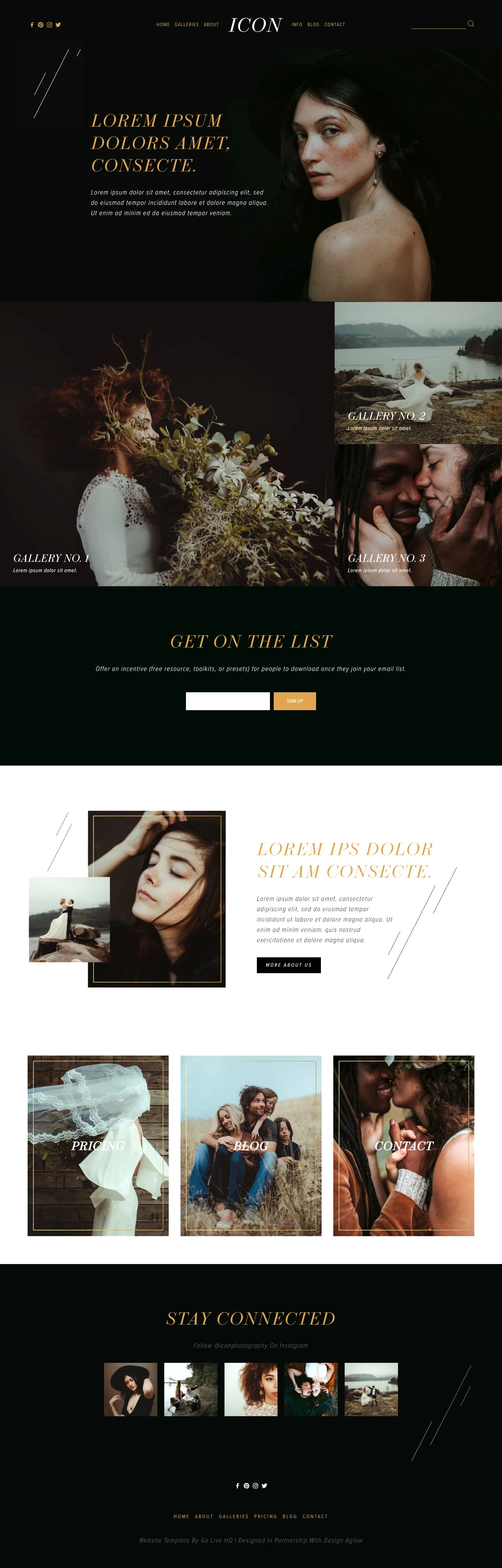 screencapture-goliveicon-squarespace-2019-02-07-22_42_5922.jpg