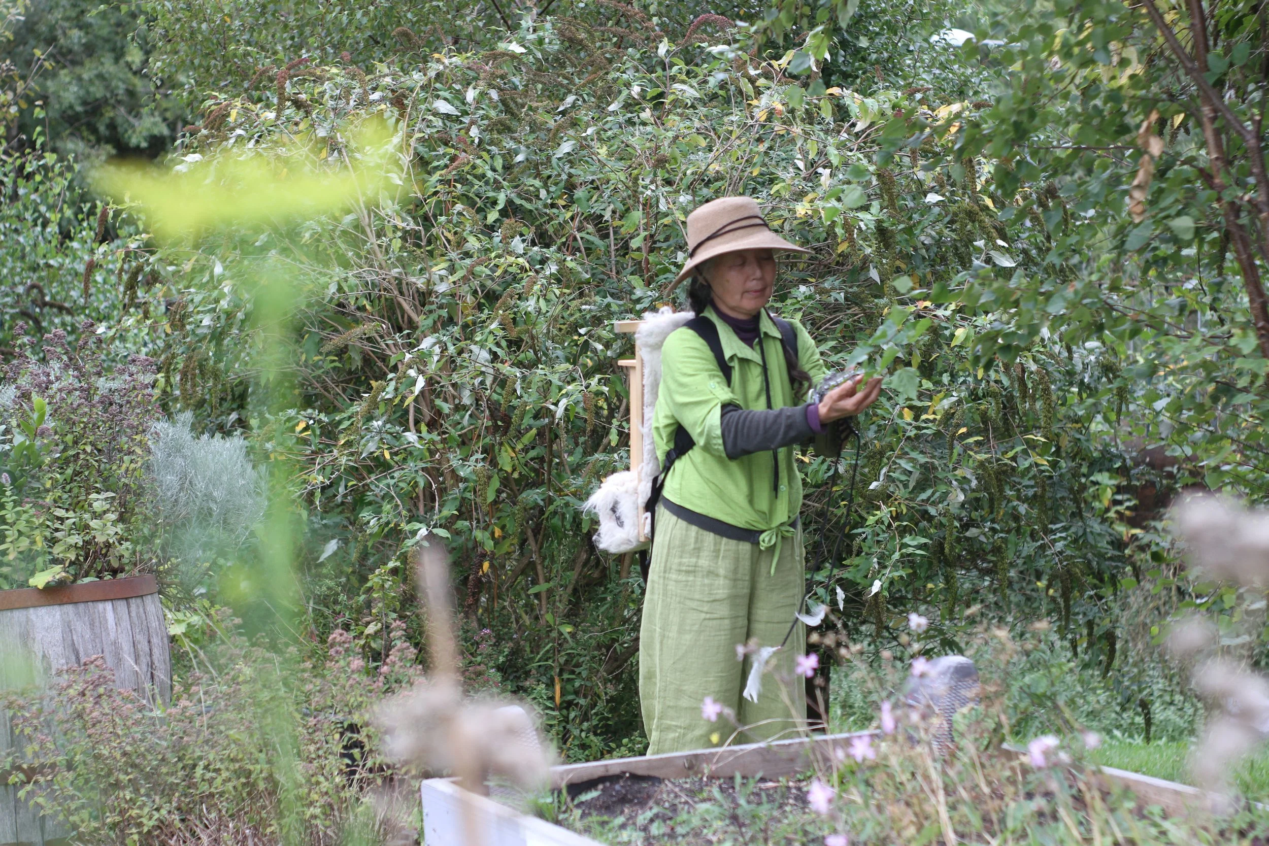  Still from performance of ‘HAKOTO’ by GSS member and studio holder Reiko Goto Collins during Doors Open Day weekend 2025.  Learn more about ‘HAKOTO’ here.    Image credit:  Alan Rutherford , 2025 (GSS member).   