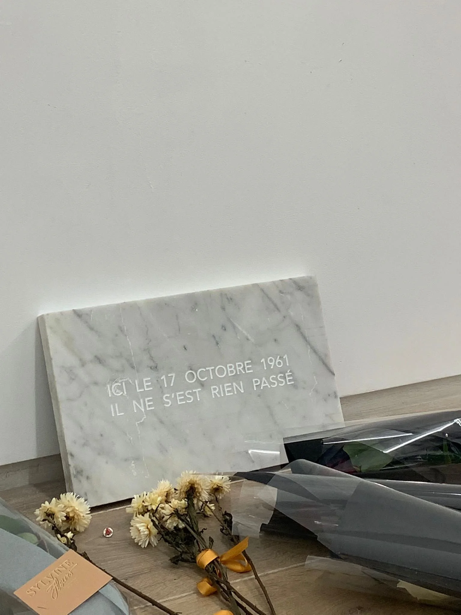 1-fannysouadesow_nothinghappened2 - Fanny Sow.jpeg