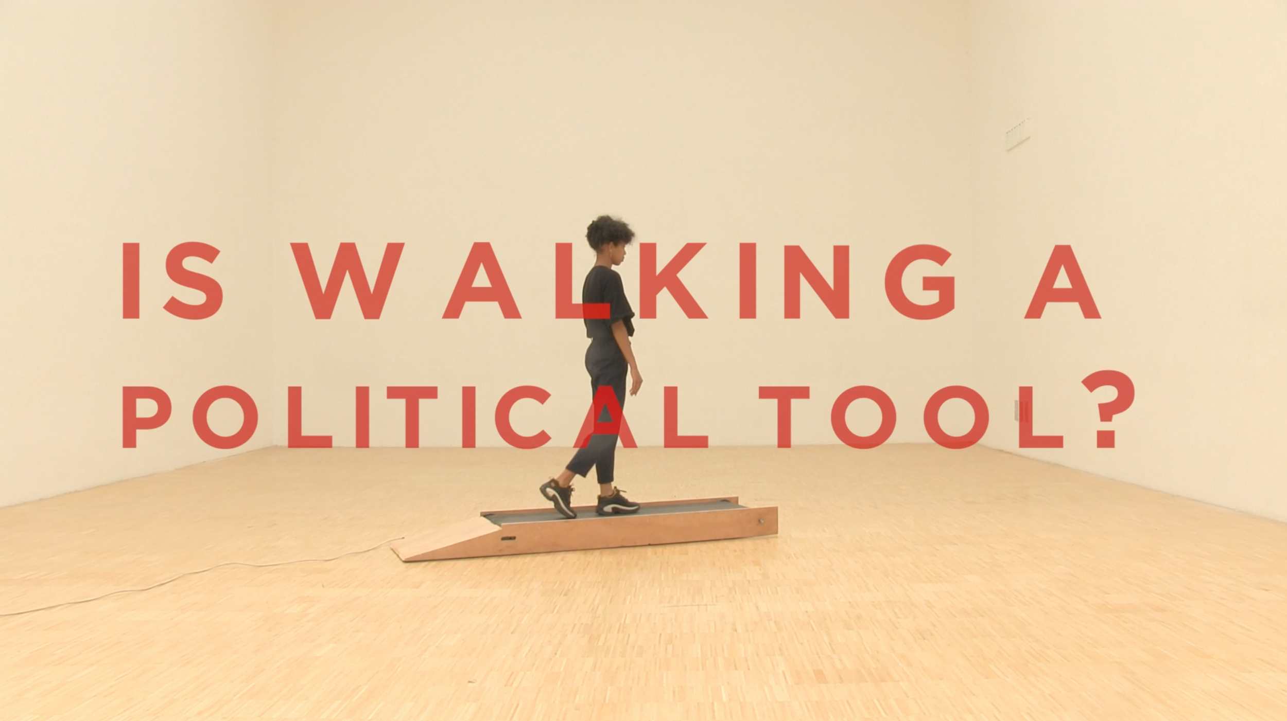 5-fannysouadesow_iswalkingapoliticaltool - Fanny Sow.png