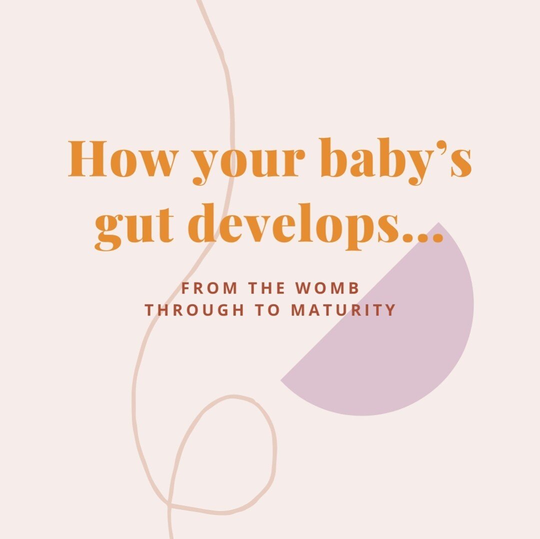 #ONTHEBLOG ⁠
⁠
How your baby&rsquo;s gut develops - from the womb through to maturity 👇🏼⁠
⁠
First, we need to understand the three stages of gut development in babies⁠
⁠
1️⃣ A developmental phase - age 3 to 14 months⁠
2️⃣ A transitional phase - age