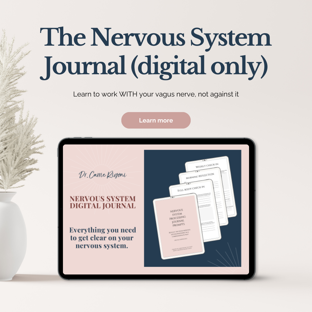 Nervous system regulation journal prompts