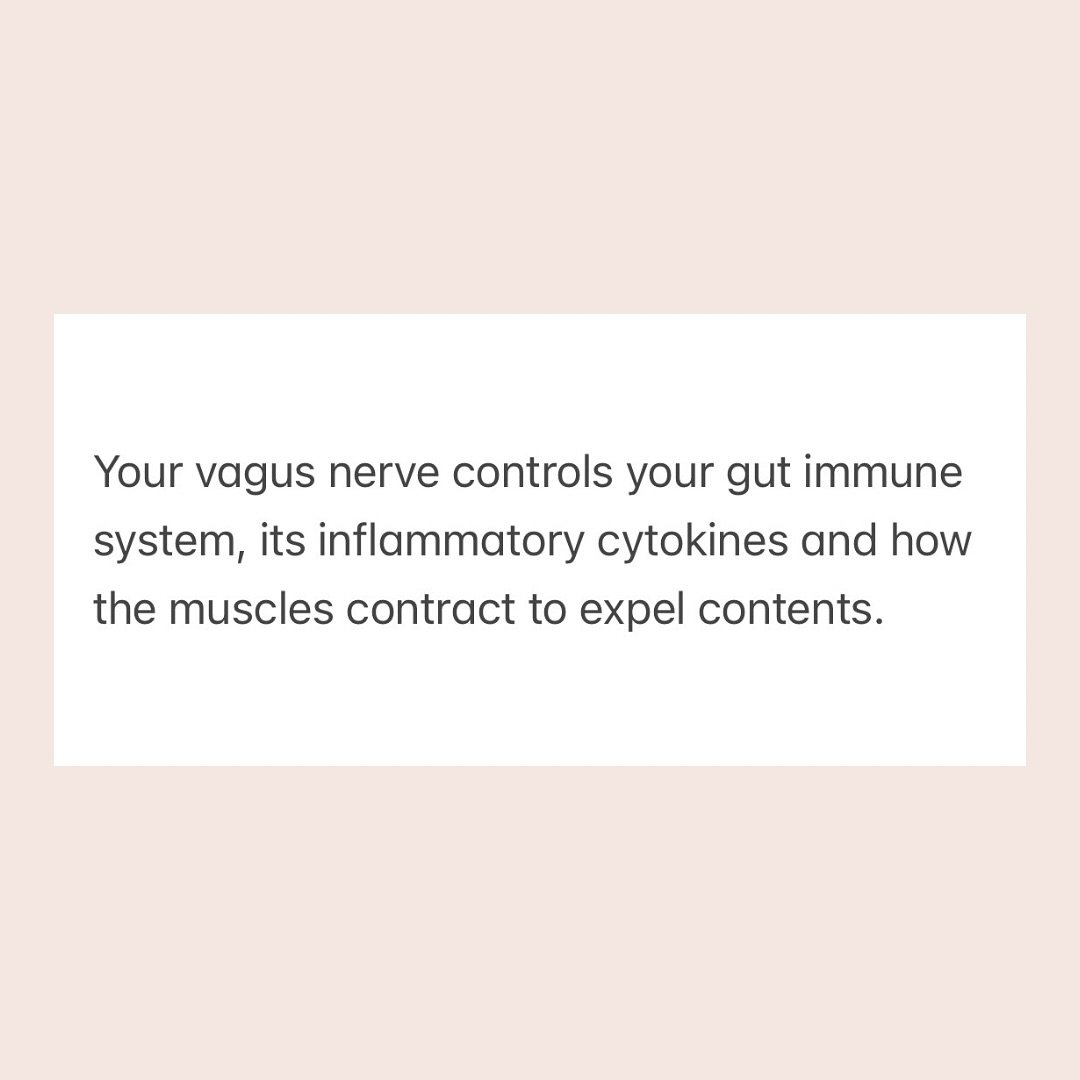 Chronic gut symptoms might actually be a result of low vagal tone. 

If you&rsquo;ve been working on your gut for a long time, without any change, you may like to check out how the vagus nerve impacts gut and digestive function. 

This relationship i