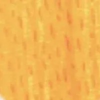 Beech.jpg