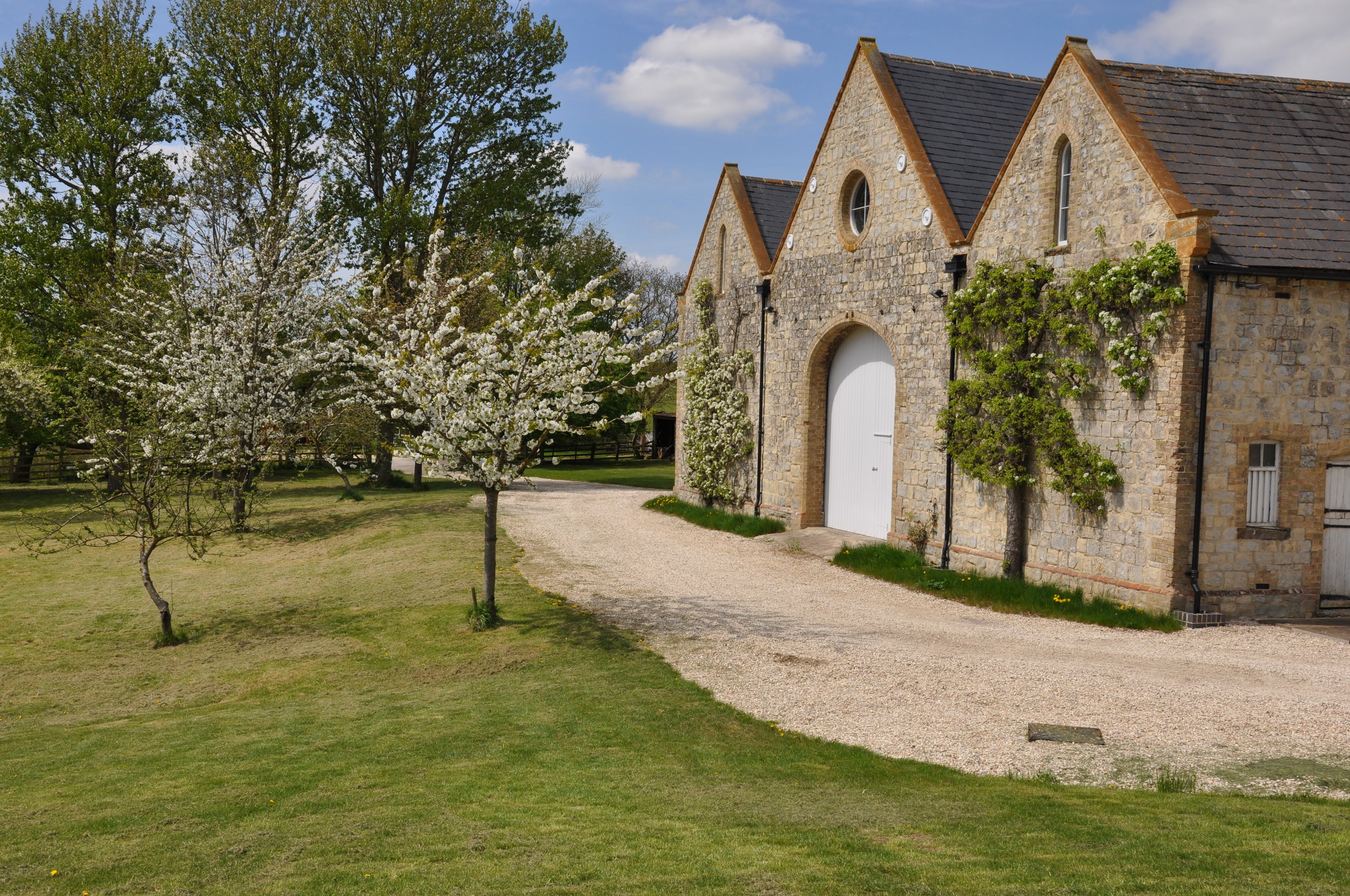 barn front and blossom-1.JPG