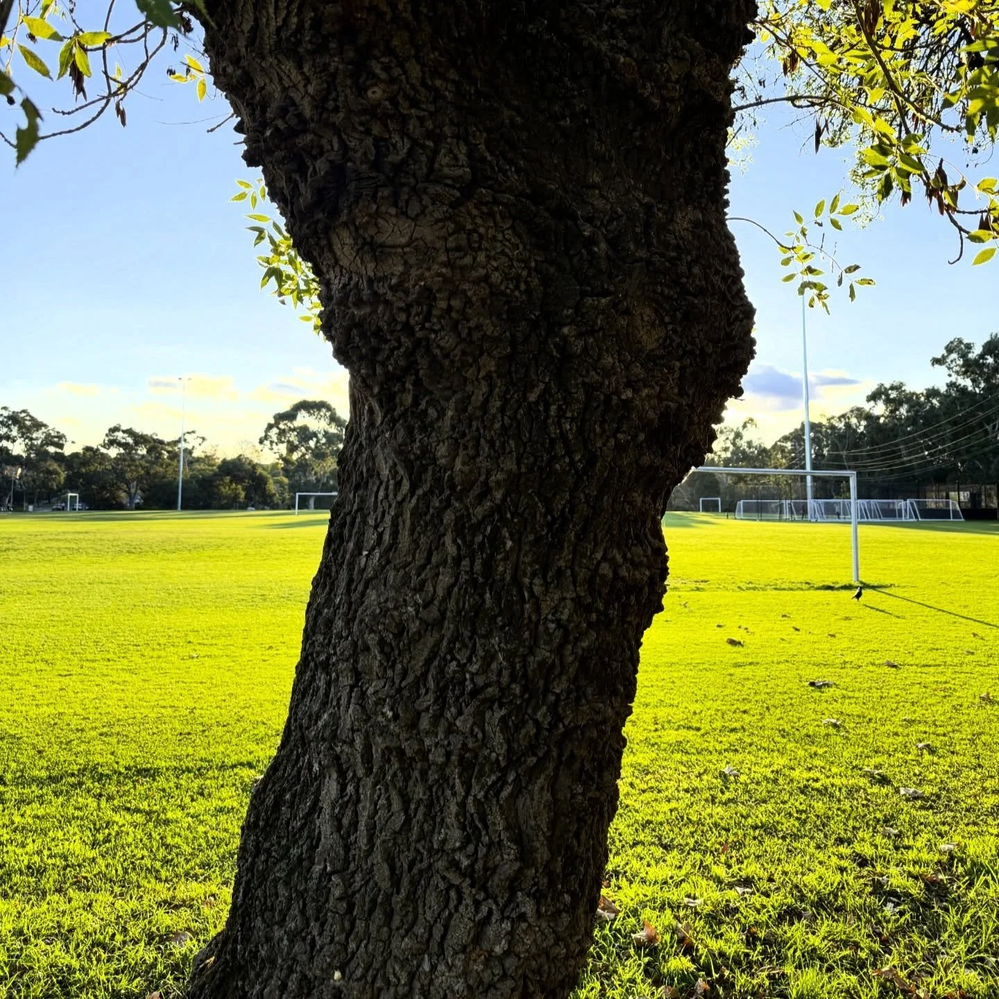 Field of view