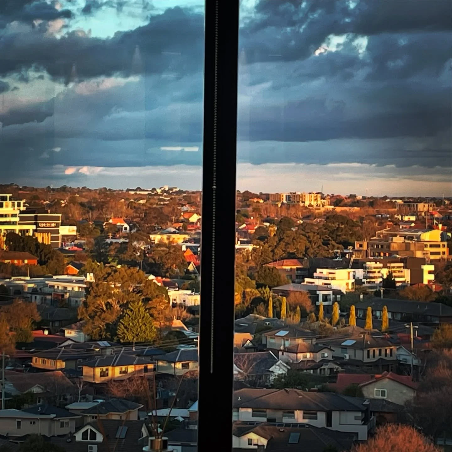 Window